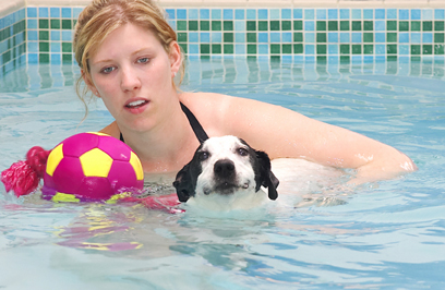 Well, go on throw, I'm ready
Schlüsselwörter: Jack Russell Laura Sam Swimming Terrier