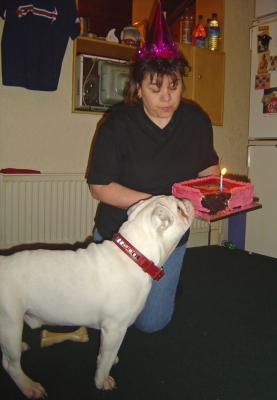 Is that for me?!
Mots-clés: Spike birthday cake Bulldog