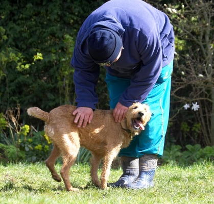 Yessss, scratch right there
Keywords: Tintin Irish Terrier Zbigniew