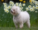 ZMarch-24-07-0017.jpg