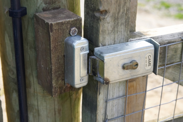 Close-up of Electronic Latch
On the stable gate at Lucies Farm.
Klíčová slova: stable gate electronic latch