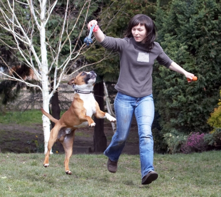 I can get it
Schlüsselwörter: Dog Monty Leaping Leap Land Mammals Land Mammal Jumping Jump Emilia Dogs Animal Animals Canine Canines Play Playing Playtime Staffordshire Bull Terrier Terrestrial Mammal Terrestrial Mammals