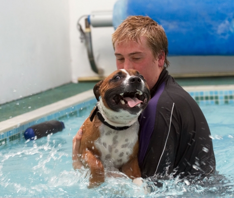.......... phew, that was scary
Keywords: Animal Animals Ben Canine Canines Dog Dogs Land Mammal Land Mammals Monty Play Playing Playtime Pool Staffordshire Bull Terrier Swimming Terrestrial Mammal Terrestrial Mammals Tongue