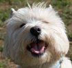 z2q9w0871.jpg