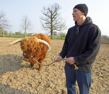 Matthew Barney with Lord Rannoch
Matthew Barney "testing" Lord Rannoch to see how well he moves and can be guided along.  Our field looks more like the Kalahari than sunny Worcestershire.
Keywords: Matthew Barney artist Lord Rannoch Kalahari Highland bull