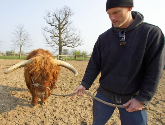 Matthew Barney with Lord Rannoch
Matthew getting the "feel" of walking a Highland bull.
Ключові слова: Matthew Barney Lord Rannoch Highland cattle bull
