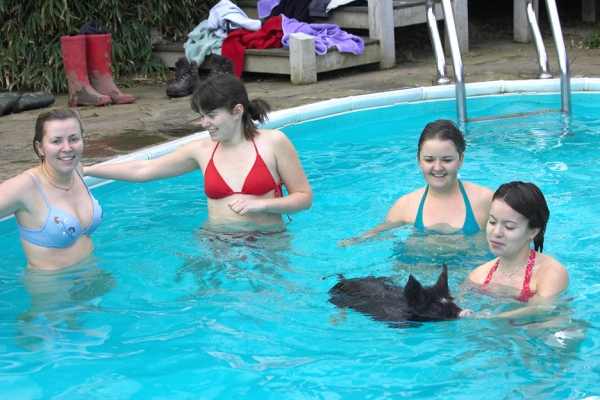 They'll never believe this back home
12 Norwegian agricultural students visited us March 2007 and wanted to go swimming with pigs.  These girls are really brave because although the pool is heated it is early March and the water isn't that warm.
Palabras clave: Marthe Norwegian Berkshire pig swimming pool