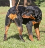 ZMarch-06-07-0078.jpg