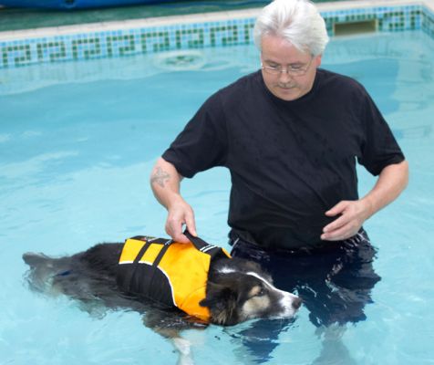 Neil and Sam having their hydrotherapy exercise
Sam is starting to limp as he gets older.  He really hated the first session but regular visits have made him a real water baby
Anahtar kelimeler: Neil Sam collie hydrotherapy exercise