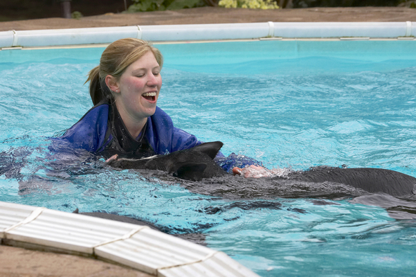 Yeah, I'm having fun too
Keywords: Berkshire Chef F-Word Gordon Ramsey Janet Street-Porter Laura Pig Pigs Pool Swimming TV