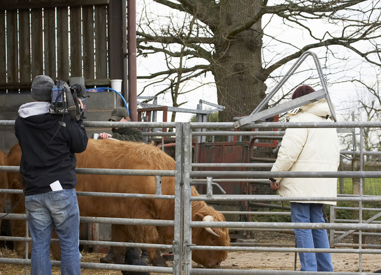 So, that's how it is done
Mots-clés: Becky Bull Bulls Camera Chef F-Word Gordon Ramsey Highland Highlands Janet Street-Porter massage TV