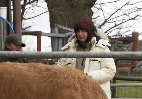 The things I do for Gordon!!
Keywords: Bull Bulls Chef F-Word Gordon Ramsey Highland Highlands Janet Street-Porter massage TV