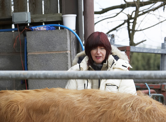 Now, you be a good boy
Ključne besede: Bull Bulls Chef F-Word Gordon Ramsey Highland Highlands Janet Street-Porter massage TV
