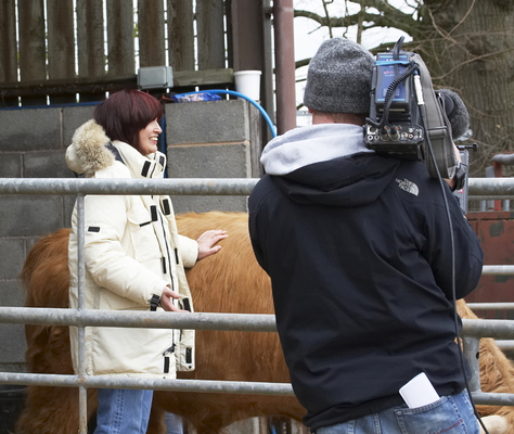 When is it my turn for a massage?
Keywords: Bull Bulls camera Chef F-Word Gordon Ramsey Highland Highlands Janet Street-Porter Massage TV