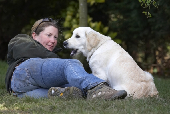 Time for nap
Klíčová slova: Animal Animals Becky Best Canine Canines Companion Dog Dogs Friends Golden Retriever Hermes Land Mammal Land Mammals Play Playing Playtime Terrestrial Mammal Terrestrial Mammals