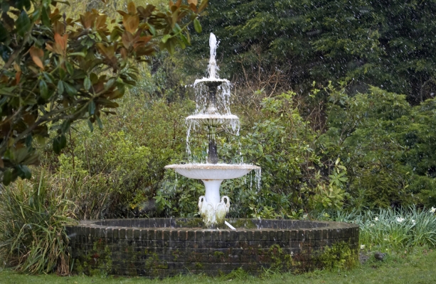All we need some sun - fat chance
Keywords: Fountain Garden Whitecroft
