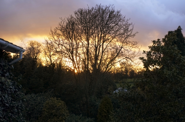 Nature putting on a spectacular display
Sunset from our bedroom window at Whitecroft
Keywords: Evening Sunset Whitecroft