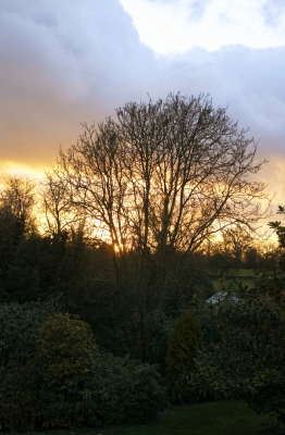 Pretty stunning
Sunset as viewed from our bedroom window, looking out over Jack and Margaret's house.
Keywords: Evening Sunset Whitecroft