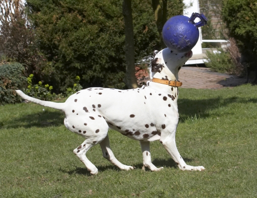 ........ boooooooooing
Palabras clave: Animal Animals Ball Canine Canines Dalmatian Dalmatians Dog Dogs Land Mammal Land Mammals MIA Play Playing Playtime Terrestrial Mammal Terrestrial Mammals