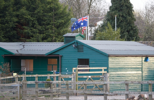 Australian (and American) Flags Fly Over Lucies Farm
Ben's family just sent him an Australian flag, so up it went on one of the three flag poles by the dog resort.  The American flag was already there.  The British flag that we had deteriorated in the British weather.  That's a pig weather vane in the foreground.
Keywords: American Flag Australian Flag Ben Lucies Farm Pig Stable Weather vane
