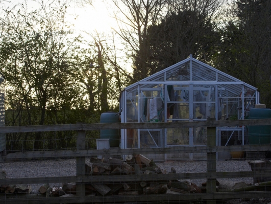 The Lucies Farm Greenhouse at Sunset
No plants in the greenhouse --- now mainly used for drying the dog beds, vet bedding, etc.
Ključne besede: Building Buildings Green House Green Houses Greenhouse Greenhouses Sunset