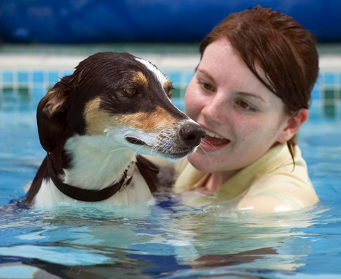Do I have to go again?
Keywords: Animal Animals Canine Canines Dog Dogs Kate Land Mammal Land Mammals Lurcher Murphy Play Playing Playtime pool Swimming Terrestrial Mammal Terrestrial Mammals
