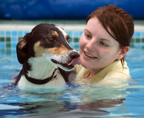 Well, OK, it wasn't too bad
Keywords: Animal Animals Canine Canines Dog Dogs Kate Land Mammal Land Mammals Lurcher Murphy Play Playing Playtime Pool Swimming Terrestrial Mammal Terrestrial Mammals Tongue