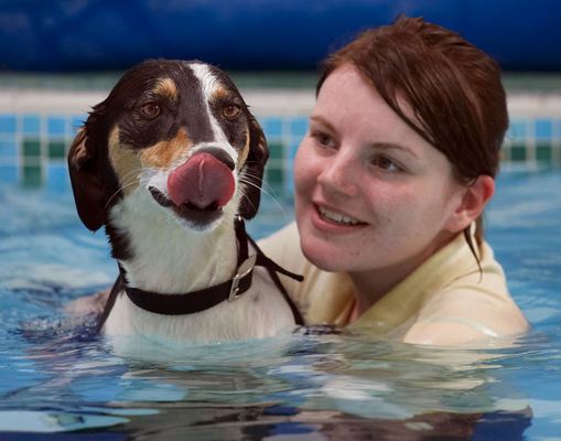 Actually, I'm rather proud of myself
Keywords: Animal Animals Canine Canines Dog Dogs kate Land Mammal Land Mammals Lurcher Murphy Play Playing Playtime Pool Swimming Terrestrial Mammal Terrestrial Mammals Tongue