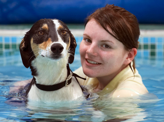 Gotta keep a stiff upper lip
Keywords: Animal Animals Canine Canines Dog Dogs kate Land Mammal Land Mammals Lurcher Murphy Play Playing Playtime Pool Swimming Terrestrial Mammal Terrestrial Mammals