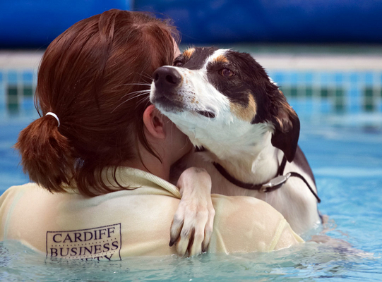 Give me a big hug and ..........
Keywords: Animal Animals Canine Canines Dog Dogs kate Land Mammal Land Mammals Lurcher Murphy Play Playing Playtime Pool Swimming Terrestrial Mammal Terrestrial Mammals