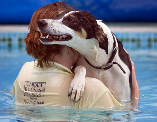 .... please don't make me go again
Keywords: Animal Animals Canine Canines Dog Dogs kate Land Mammal Land Mammals Lurcher Murphy Play Playing Playtime Pool Swimming Terrestrial Mammal Terrestrial Mammals
