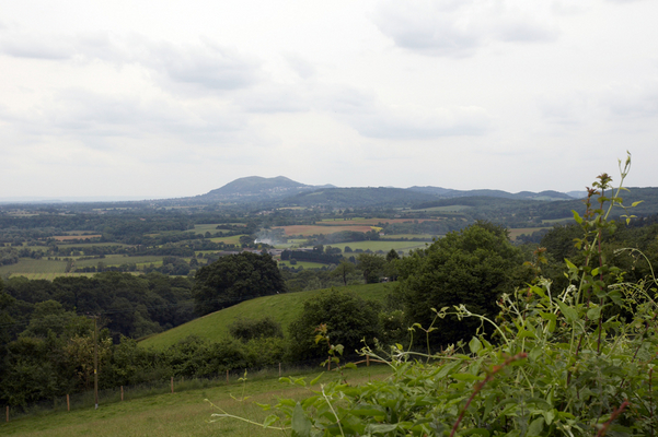 Distant view of the Malvern Hills
Λέξεις-κλειδιά: Hills Malvern Malvern Hills Martley Scenic View Worcestershire