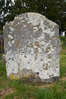 Z2Q9W9675.jpg