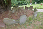 Z2Q9W9676.jpg
