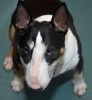 ZMay-13-2007-0011.jpg