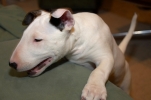 ZMay-13-2007-0021.jpg