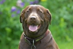 ZMay-14-2007-0021.jpg