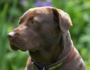 ZMay-14-2007-0027.jpg