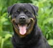 ZMay-19-2007-0026.jpg