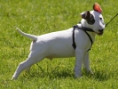 ZMay-19-2007-0044.jpg