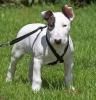 ZMay-19-2007-0059.jpg