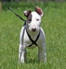 ZMay-19-2007-0079.jpg