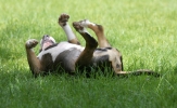 ZMay-19-2007-0094.jpg