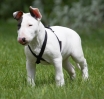ZMay-19-2007-0124.jpg