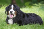 ZMay-20-2007-0007.jpg