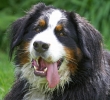 ZMay-20-2007-0140.jpg