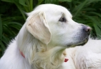 ZMay-20-2007-0223.jpg