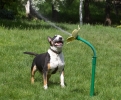 ZMay-20-2007A-0475.jpg