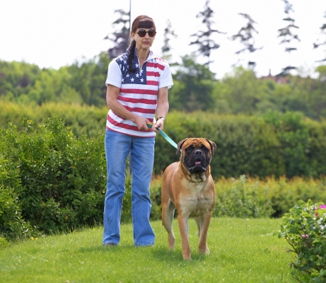 Hey, new scenery
Schlüsselwörter: Morgan Bull Mastiff Marjorie