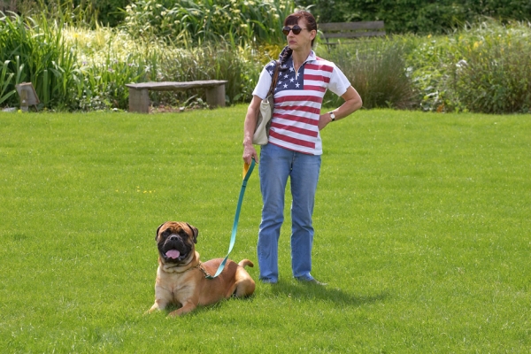 Well, if we're not going anywhere I'll just take a rest
Morgan doesn't know what lies ahead - we're at the Animal Eye Hospital near Hereford for Morgan to have his cosmetic surgery to correct a problem with his eyelids
Ključne besede: Morgan Bull Mastiff Marjorie